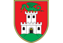 mestna-obcina-ljubljana